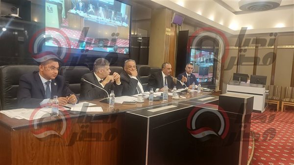  لجنة الشئون الدستورية