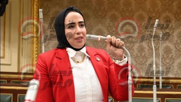 النائبة سارة النحاس