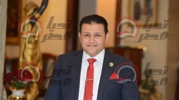 النائب شحاته أبو