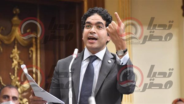 النائب ضياء الدين