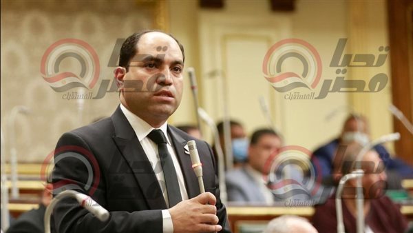  النائب عمرو درويش