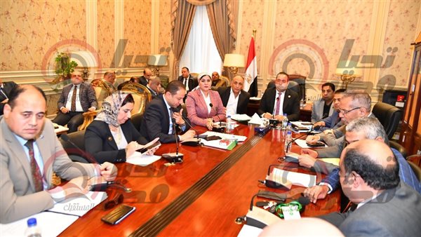 لجنة الشباب والرياضة