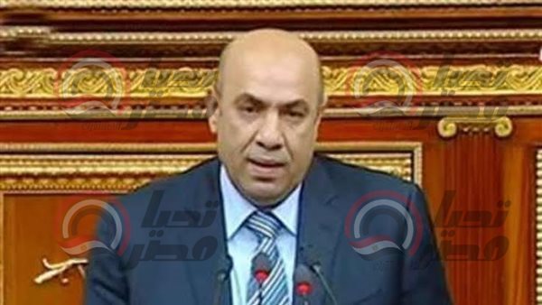 النائب علاء عبدالنبي