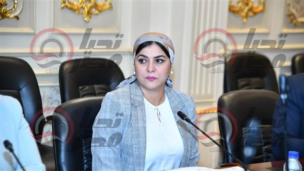 النائبة ولاء عبد