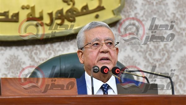 المستشار الدكتور