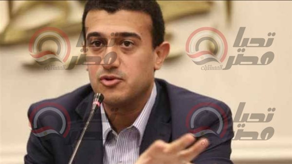 النائب طارق الخولي