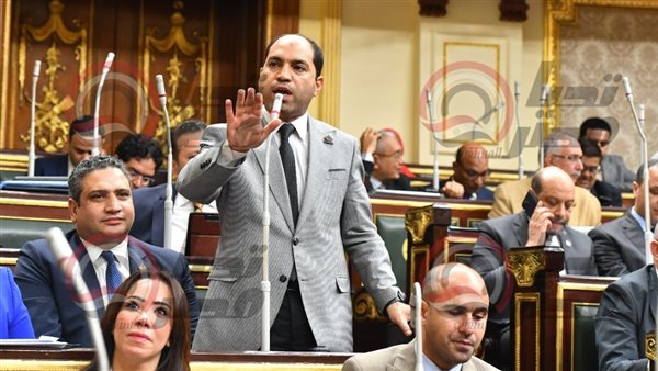  النائب عمرو درويش