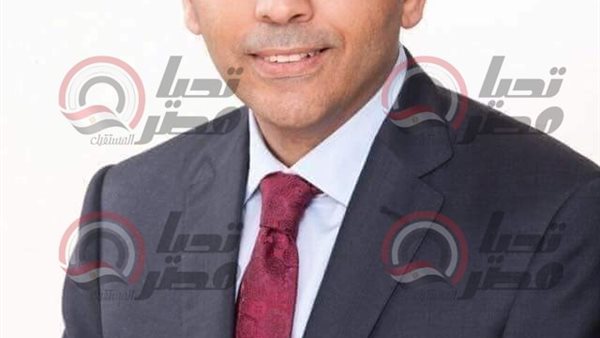 النائب جمال أبو الفتوح