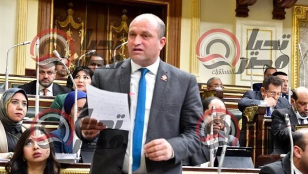 النائب أحمد رمزي