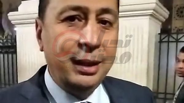 محامي منة شلبي