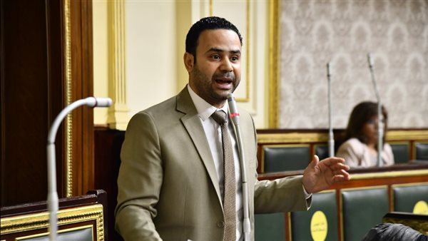 النائب محمود بدر