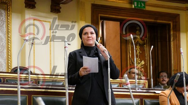 النائبة رحاب عبدالغني