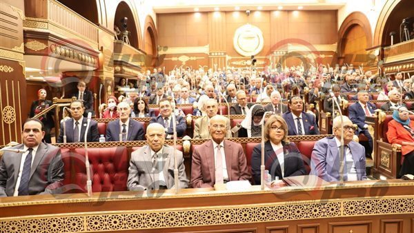 حقوق إنسان الشيوخ