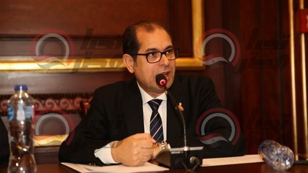  النائب يوسف عامر