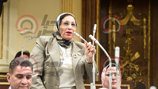 النائبة إيناس عبد