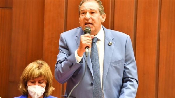 النائب حسام الخولى