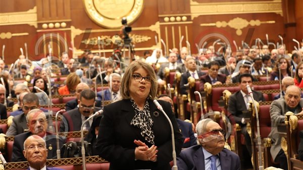  النائبة فيبي فوزي