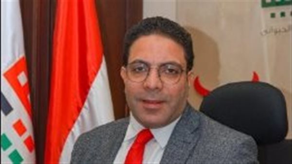 محمد الجمال الخبير