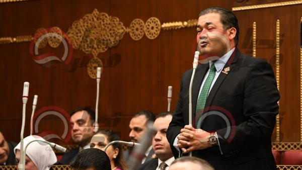 النائب محمد عمارة