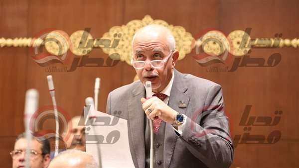 حازم الجندي