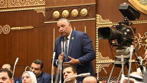 النائب محمد عزمي