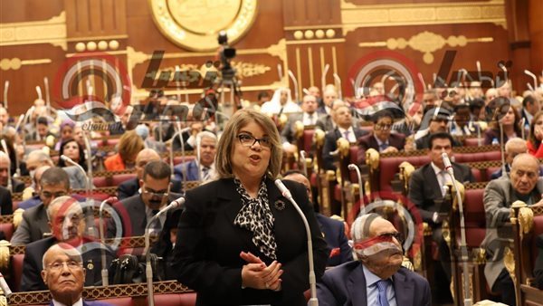  النائبة فيبي فوزي