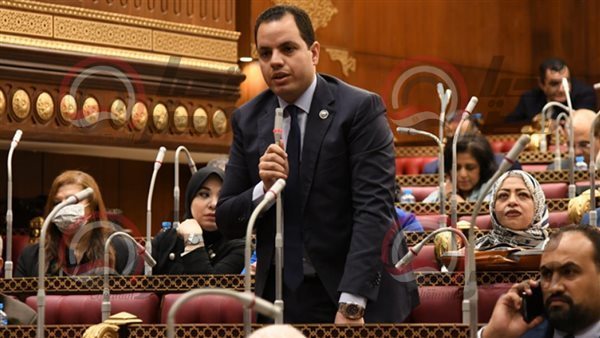 النائب أحمد فوزي