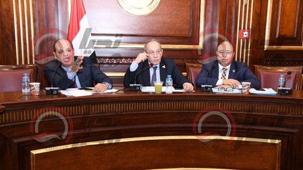  لجنة الصحة والسكان