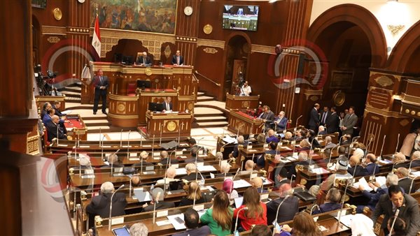 مجلس الشيوخ