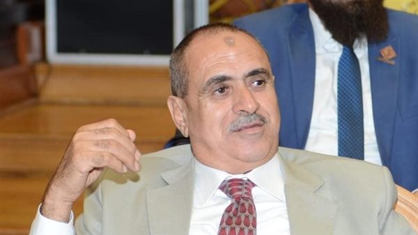 النائب عاطف النمكي