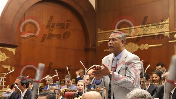  النائب محمد حمزة