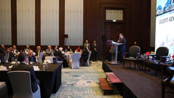 وزير المالية