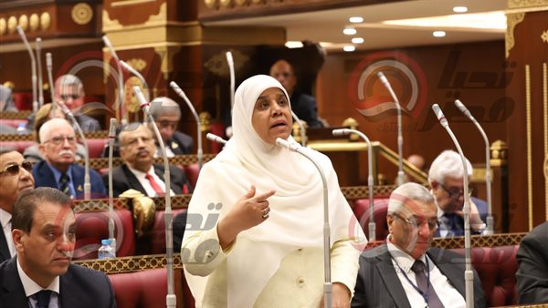 المهندسة نفيسة هاشم