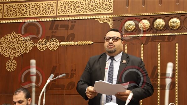 النائب أحمد قناوي