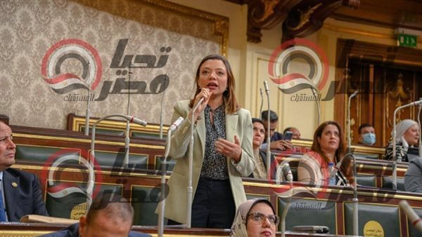 النائبة مي كرم جبر،