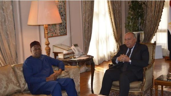 وزير الخارجية سامح