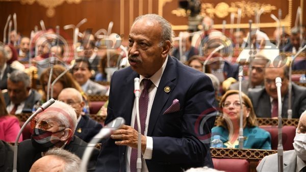  المهندس هاني العسال