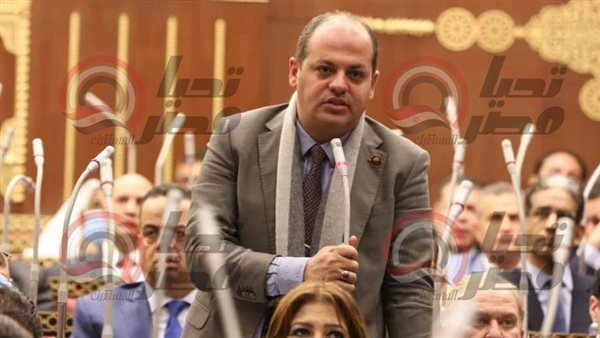 النائب أحمد عبدالماجد