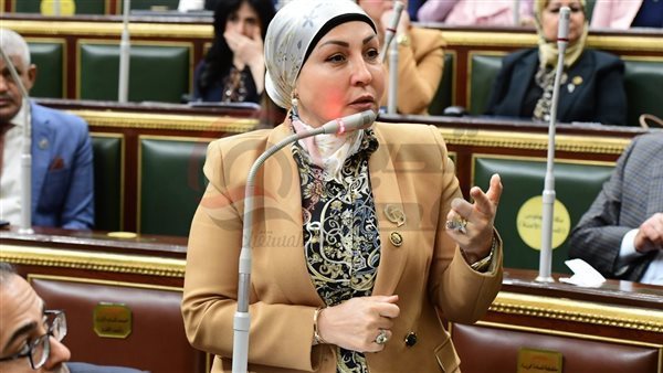  النائبة هالة أبو