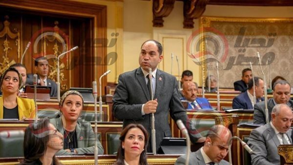 النائب عمرو درويش