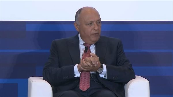 وزير الخارجية 