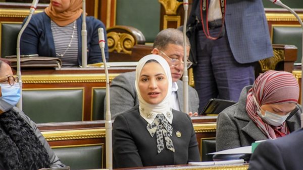  النائبة نشوى رائف