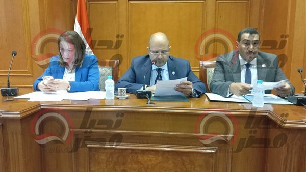 لجنة الطاقة والبيئة