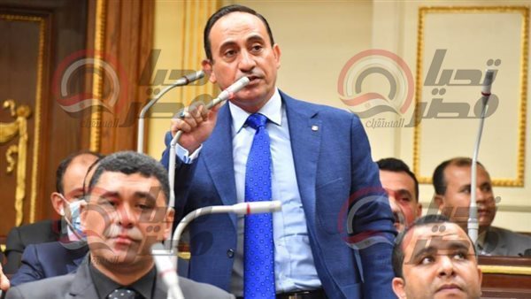  النائب محمد زين