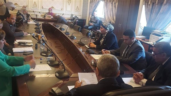 النائبة هالة ابو