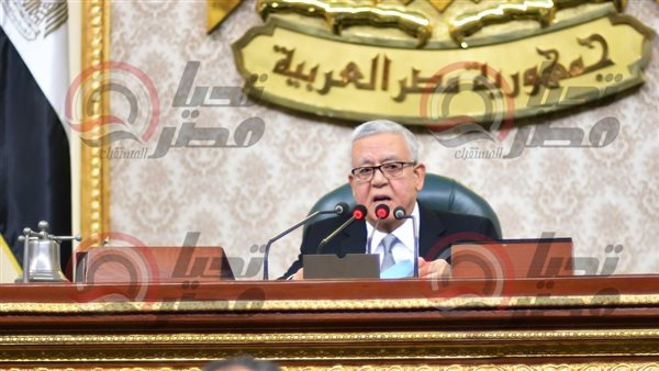 المستشار الدكتور