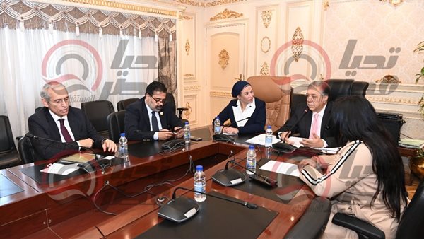 لجنة الشئون الافريقية