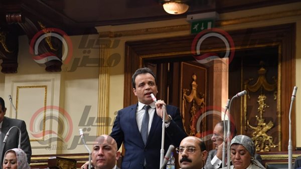 النائب هشام هلال