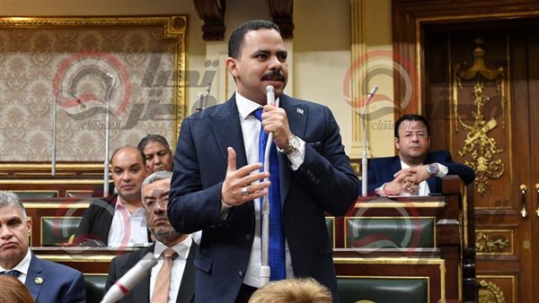 ممثل الأغلبية أشرف