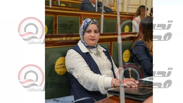 النائبة عفاف زهران